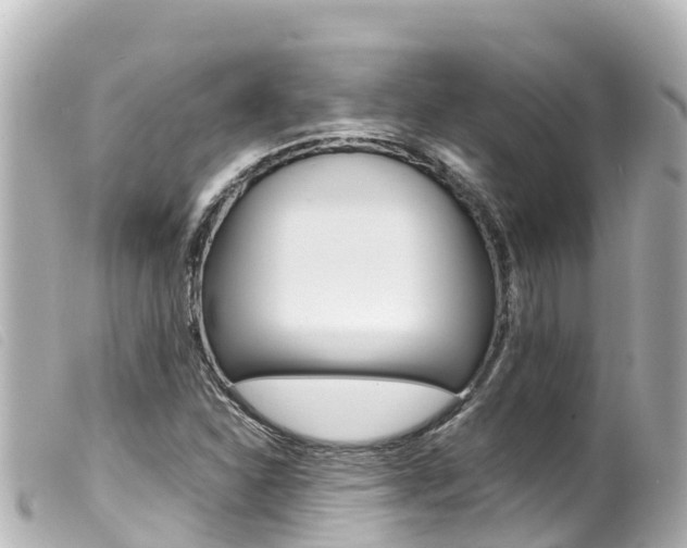 X0000100221310200805300739