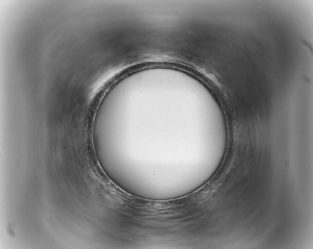 X0000100221311200805300739