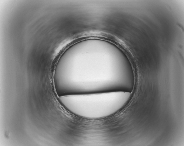 X0000100221312200805300739