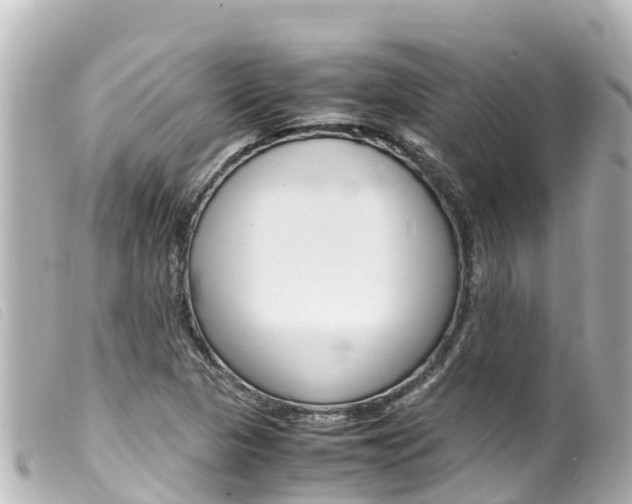 X0000100221313200805300739