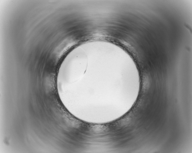 X0000100221314200805300739