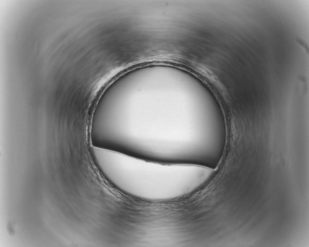 X0000100221316200805300739
