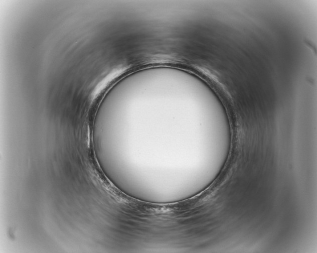 X0000100221317200805300739