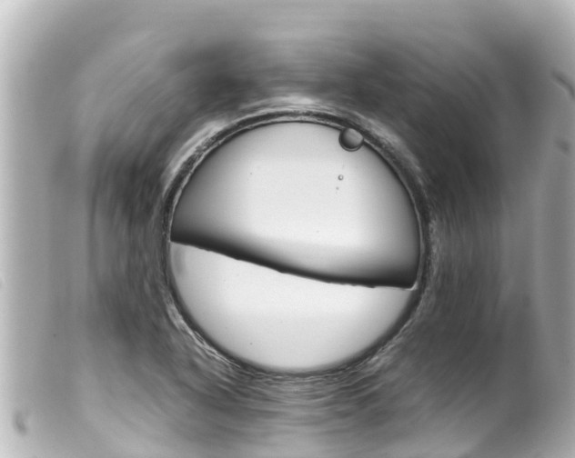 X0000100221318200805300739