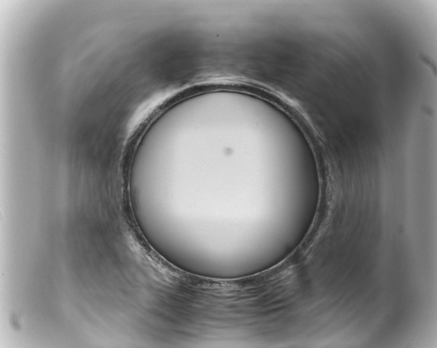X0000100221319200805300739