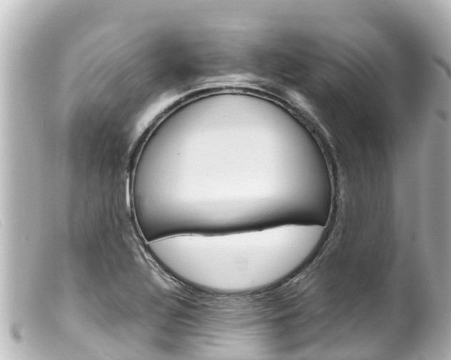 X0000100221320200805300739