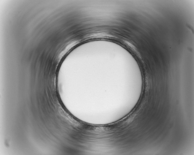 X0000100221322200805300739