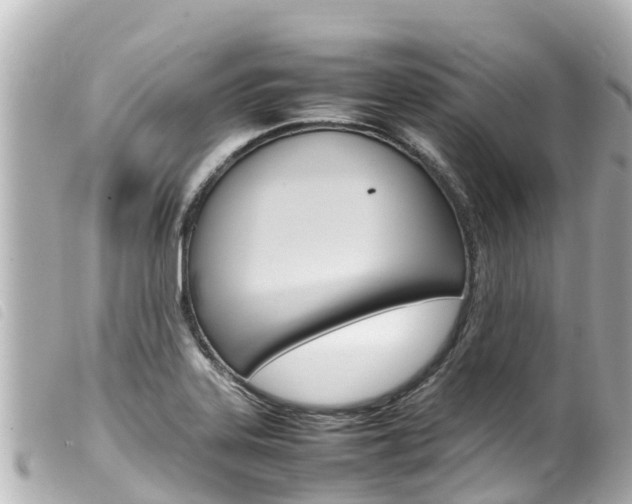 X0000100221323200805300739
