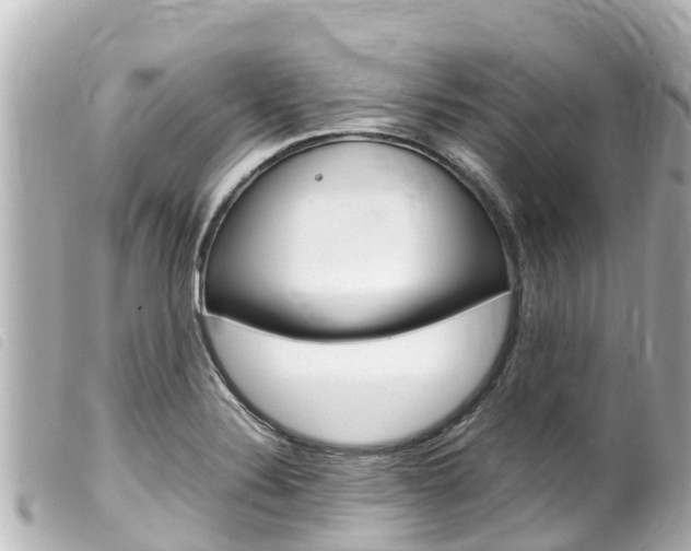 X0000100221324200805300739