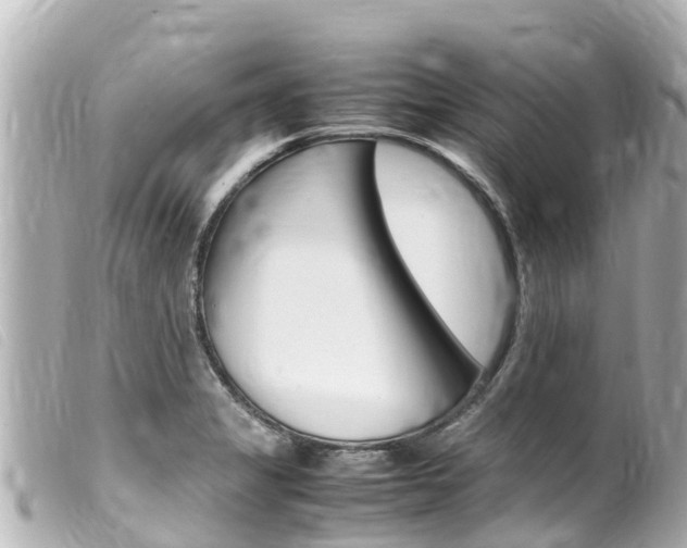 X0000100221325200805300739