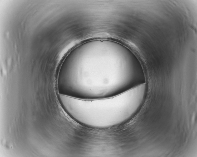 X0000100221326200805300739
