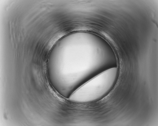 X0000100221329200805300739