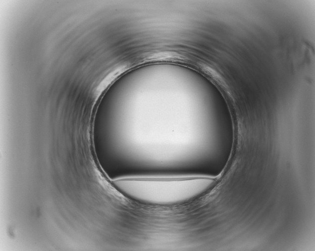 X0000100221330200805300739
