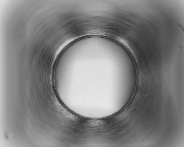 X0000100221331200805300739