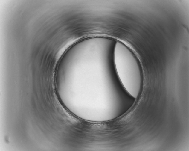 X0000100221333200805300739