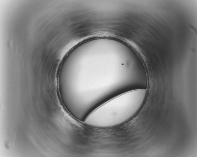 X0000100221335200805300739