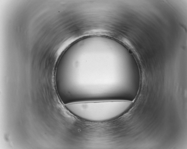 X0000100221336200805300739