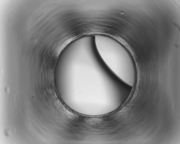X0000100221337200805300739