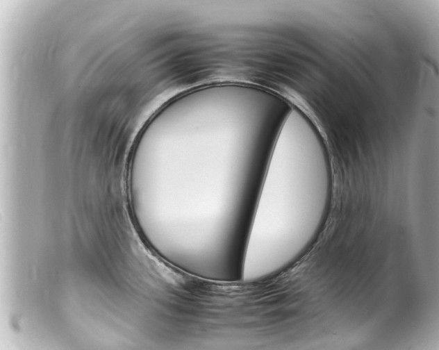 X0000100221339200805300739