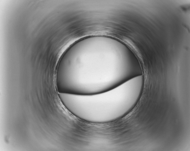 X0000100221340200805300739