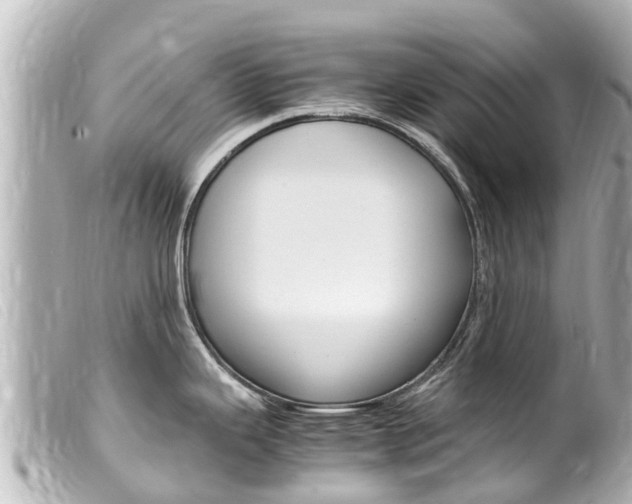 X0000100221343200805300739