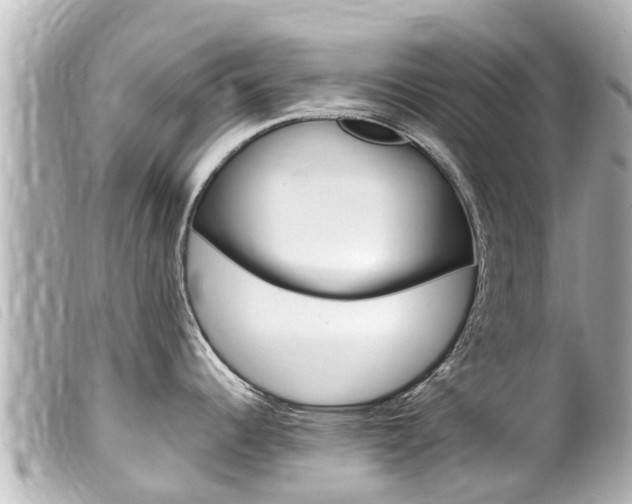 X0000100221344200805300739