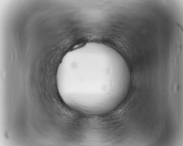 X0000100221345200805300739