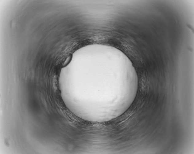 X0000100221346200805300739