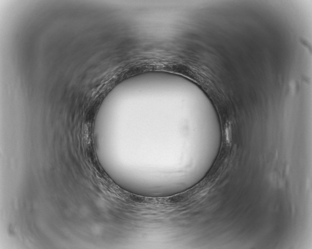 X0000100221347200805300739