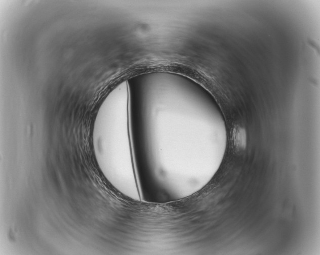 X0000100221348200805300739