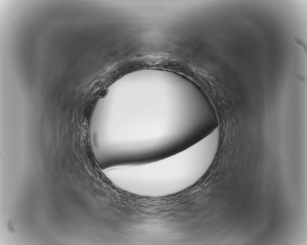 X0000100221349200805300739