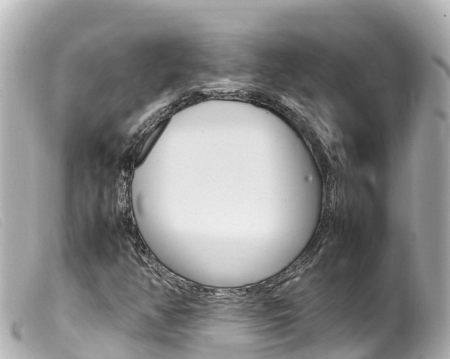 X0000100221350200805300739