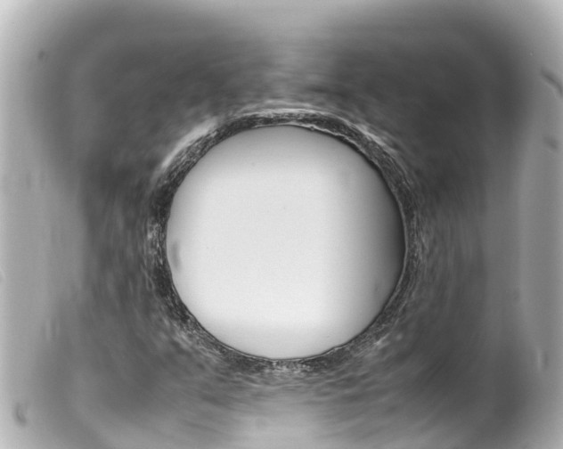 X0000100221351200805300739