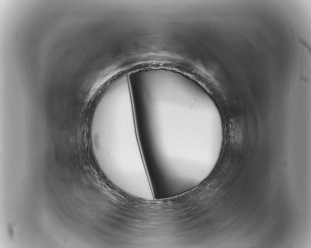 X0000100221352200805300739