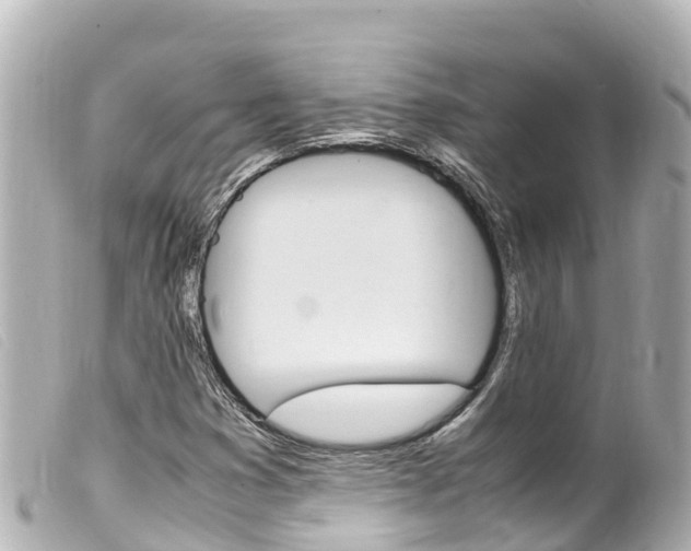 X0000100221353200805300739
