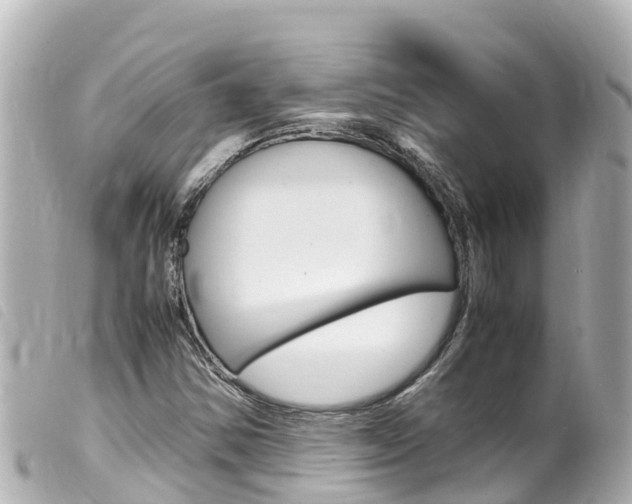 X0000100221354200805300739