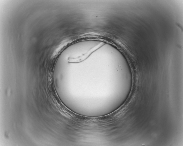 X0000100221355200805300739