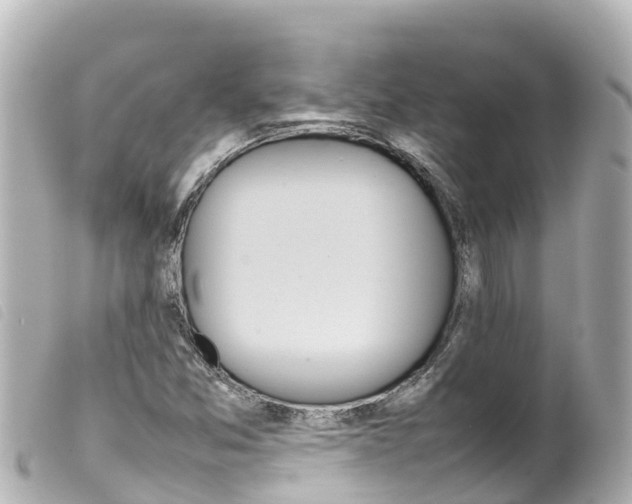 X0000100221357200805300738