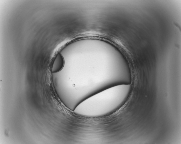 X0000100221358200805300738