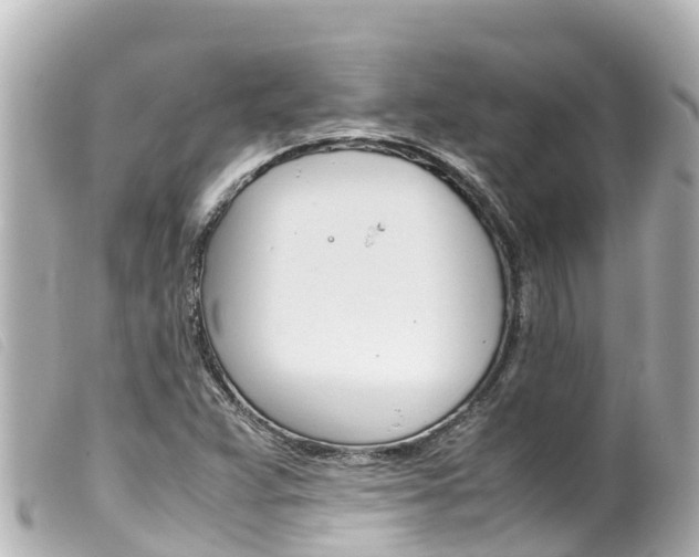 X0000100221359200805300738