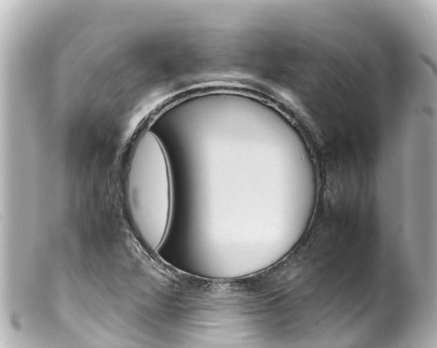 X0000100221360200805300738