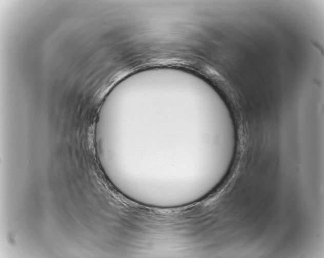X0000100221361200805300738