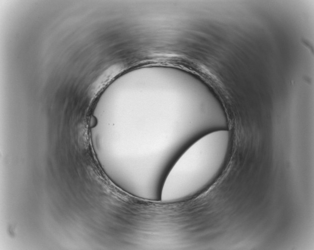X0000100221362200805300738