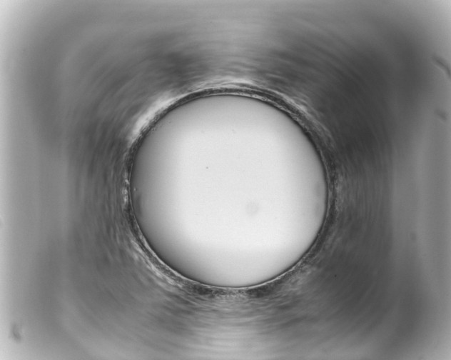 X0000100221363200805300738