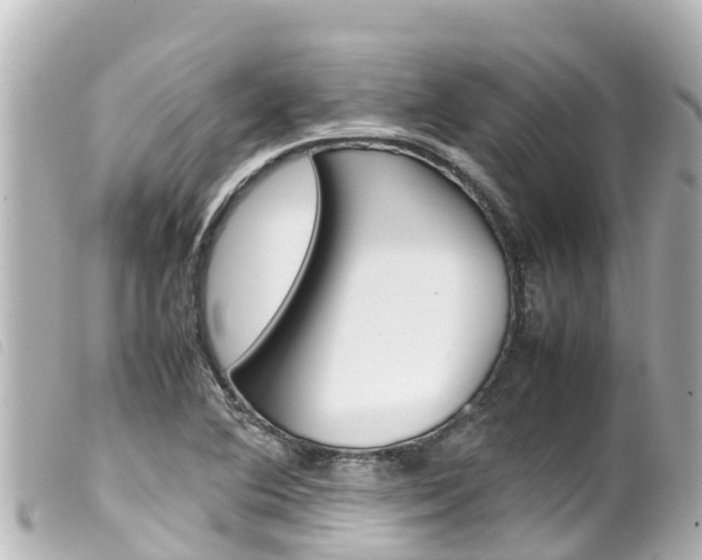 X0000100221364200805300738