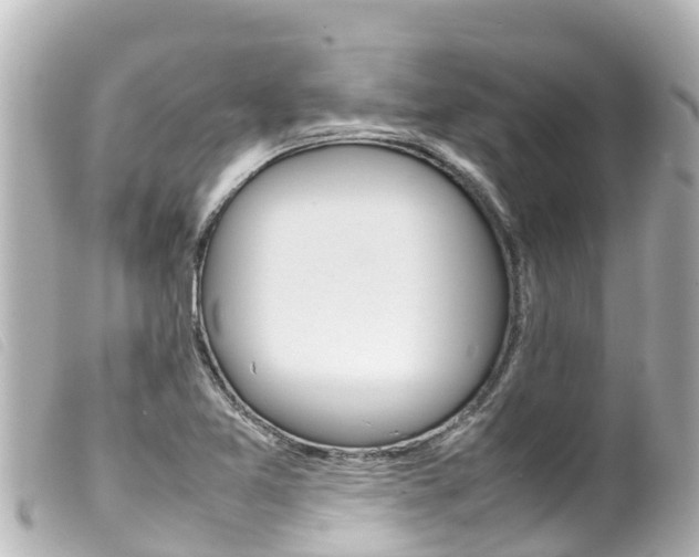 X0000100221365200805300738