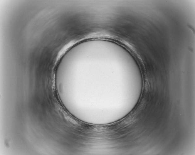 X0000100221366200805300738