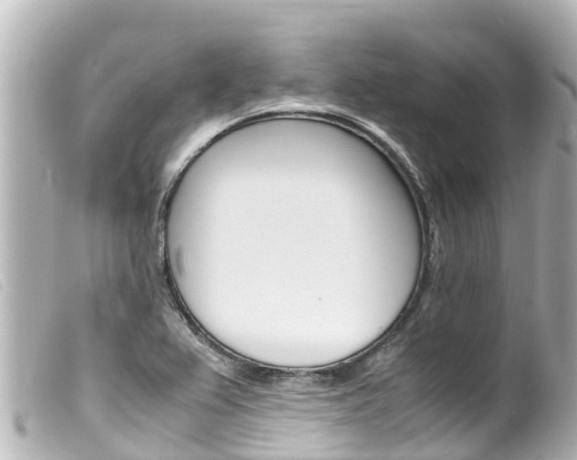 X0000100221367200805300738