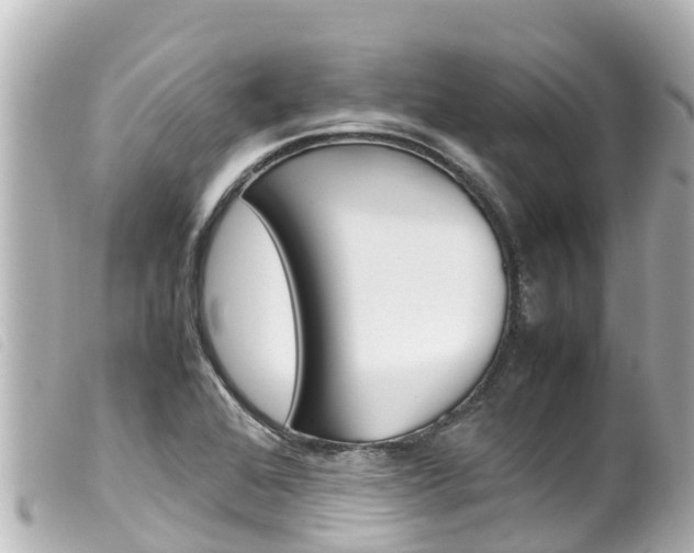 X0000100221368200805300738