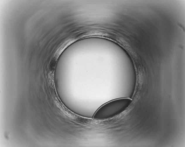X0000100221369200805300738